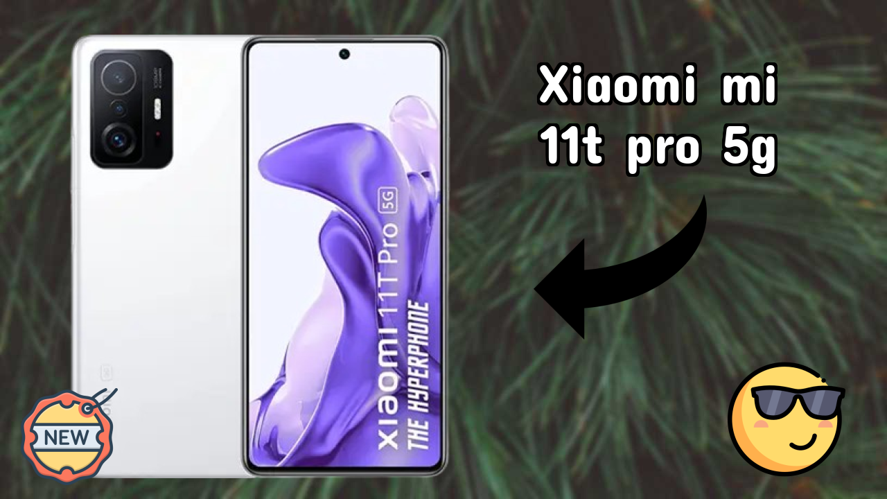 Xiaomi Mi 11T Pro 5G कैमरा रिव्यु: 108 MP + 8 MP + 5 MP Rear Camera कम रोशनी टेस्ट